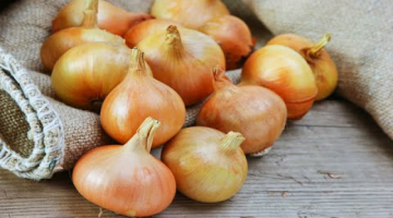 4 вкусных БЛЮДА ИЗ ЛУКА, которые вам захочется приготовить ещё не раз. Рецепты от Всегда Вкусно!