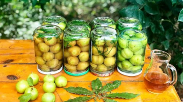 Два способа маринованной алычи на зиму.