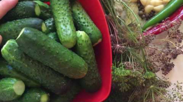 Хрустящие солёные огурчики под капроновой крышкой на зиму