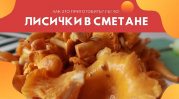 КАК ЭТО ПРИГОТОВИТЬ? ЛЕГКО! ЛИСИЧКИ В СМЕТАНЕ. ТУШЕНЫЕ ЛИСИЧКИ