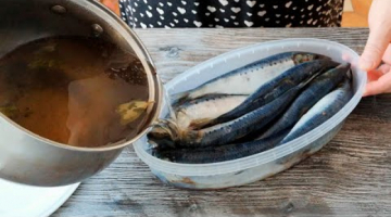 Как вкусно засолить сельдь «Иваси» в домашних условиях!