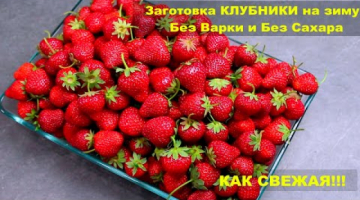 Клубника на Зиму Без Варки и Без Сахара! Всю Зиму, как свежая, 2 удачных Варианта заморозки!
