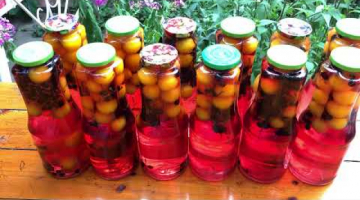 Компоты на зиму из сладкой алычи и черной смородины.