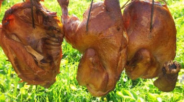 Копчение курицы в домашних условиях. Домашние копчености