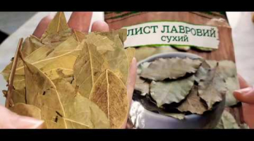 Лавровый лист