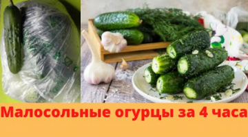 Малосольные огурцы за 4 часа. Самый быстрый рецепт. Малосольные огурцы в пакете.