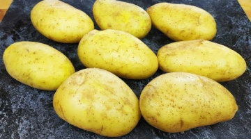 МОЛОДОЙ КАРТОФЕЛЬ ТАК ГОТОВИТЕ? Невозможно оторваться. ВКУСНОТИЩА!