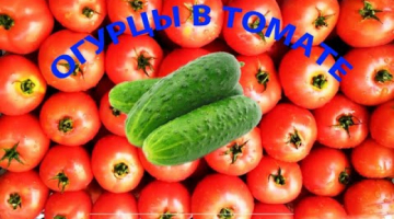 Огурцы в томатном соусе на зиму