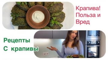 Полезные и лечебные свойства крапивы. Как и когда собирать крапиву. Крапивные котлеты, салат