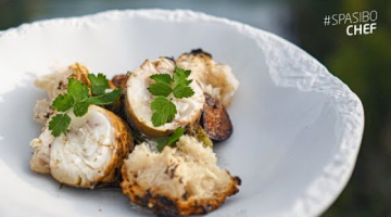 Простой, но очень вкусный рецепт щуки с копченой сметаной