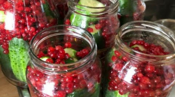 Соленные огурцы с красной смородиной, очень вкусные!