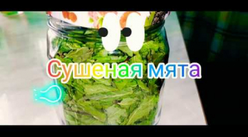 Сушеная мята. Описание. Полезные свойства и вред