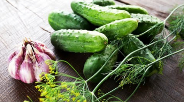 Вот как я ГОТОВЛЮ ОГУРЦЫ все ЛЕТО! Лучшая ЗАКУСКА к мясу, рыбе и не только! Такие ОГУРЦЫ любят ВСЕ!