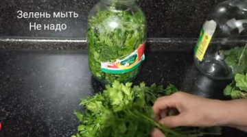 ?? ВОТ ТАК Я ХРАНЮ ЗЕЛЕНЬ 