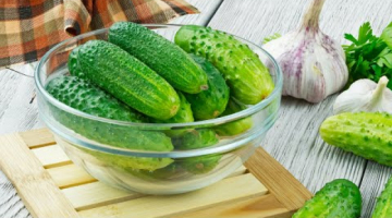 Время заняться огурцами! 5 Рецептов из огурцов, которые вам понравятся! Рецепты от Всегда Вкусно!