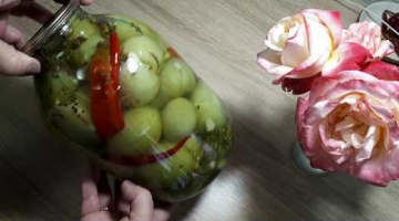 *ЗАКУСОЧНЫЕ *ЗЕЛЕНЫЕ ПОМИДОРЫ