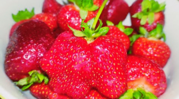 Заморозка Клубники на зиму! Самый БЫСТРЫЙ и Лёгкий РЕЦЕПТ без варки