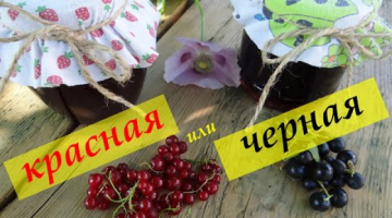 Желе из красной смородины, желе из черной смородины: вкусно, просто, бюджетно. Заготовки на зиму.